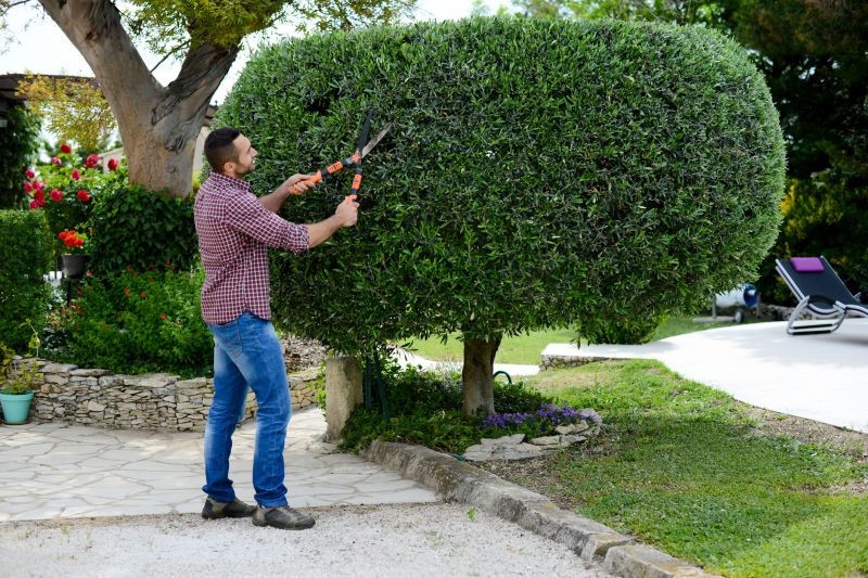 Boxwood Trimming in Rockwall, TX